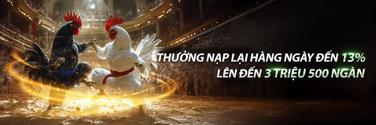 Bongdalu2 - Nền tảng giải trí trực tuyến hàng đầu Việt Nam